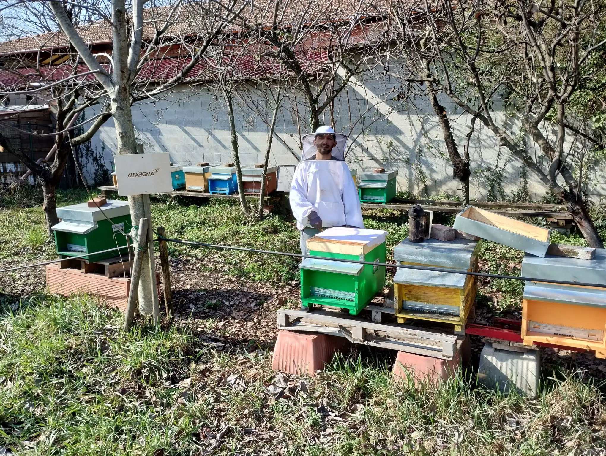 aiuta le api di Nocetum