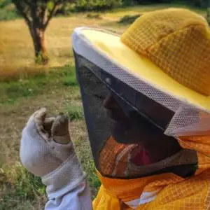 aiuta le api di Ssilema