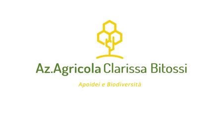 adotta le api di Clarissa Bitossi