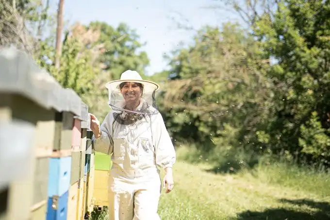 adotta le api di Ambrosia Bio