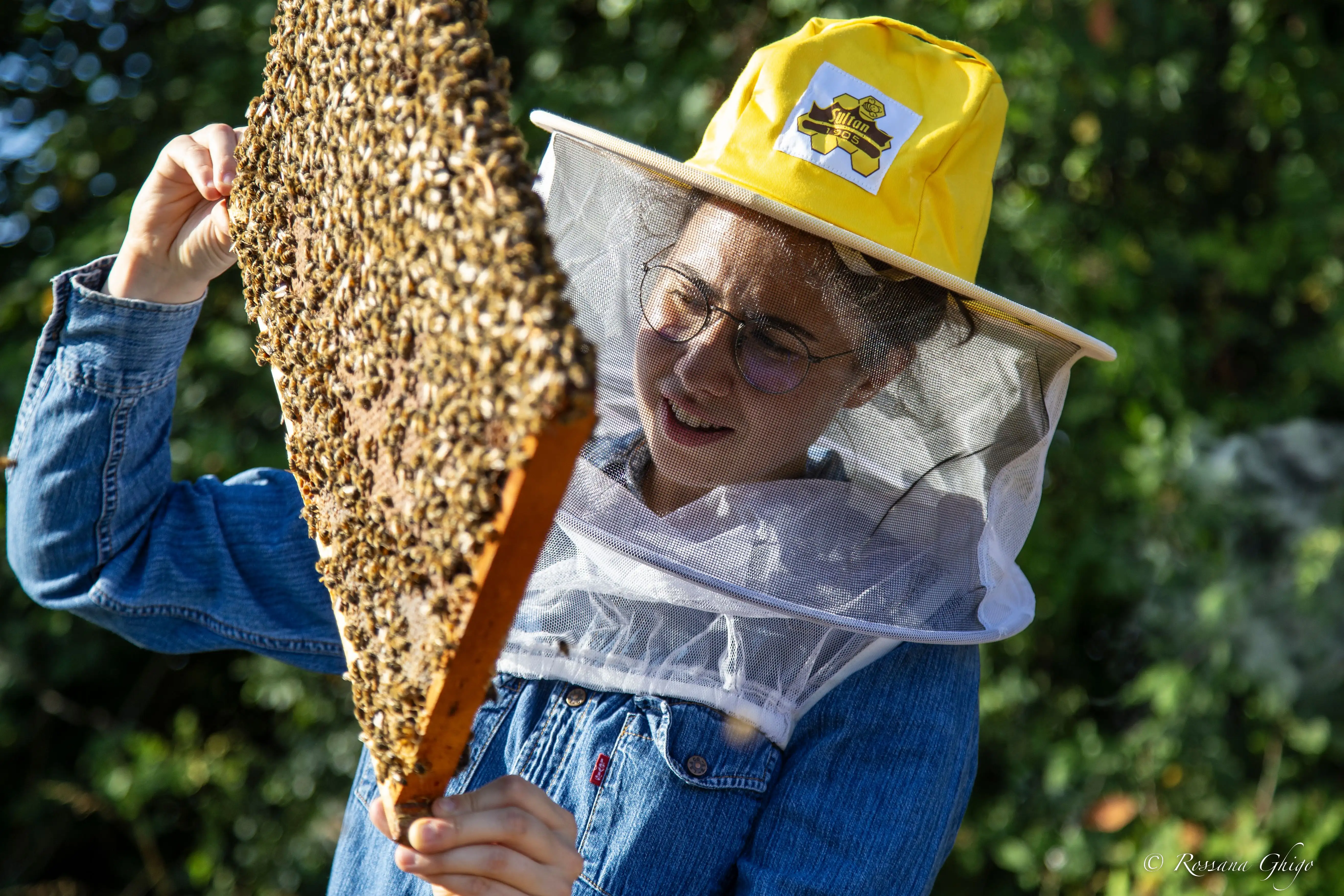 adotta le api di Edenbee