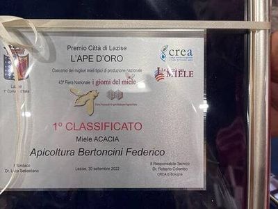 adotta le api di Federico Bertoncini