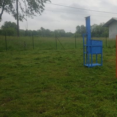 adotta le api di CFA di Basse di Stura