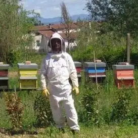 aiuta le api di Tutto Genuino