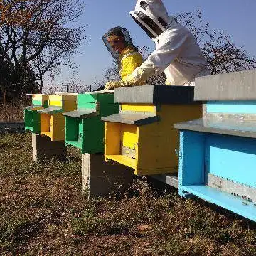aiuta le api di I'j Travaj