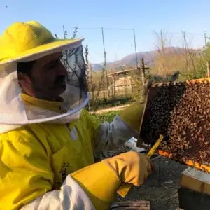 aiuta le api di Federico Bertoncini