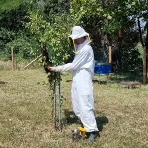 aiuta le api di Ambrosia Miele