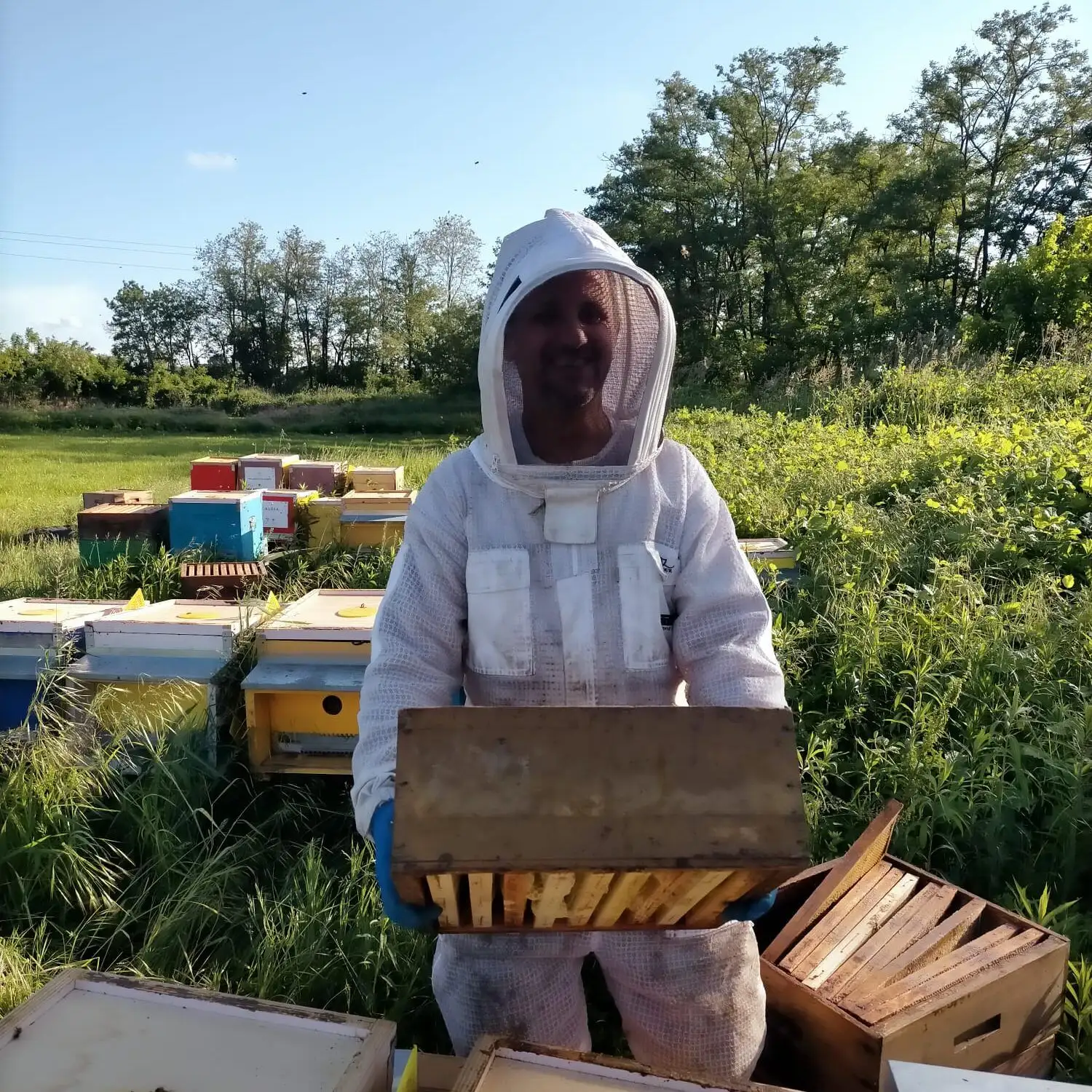 aiuta le api di Gianfelice Presicci