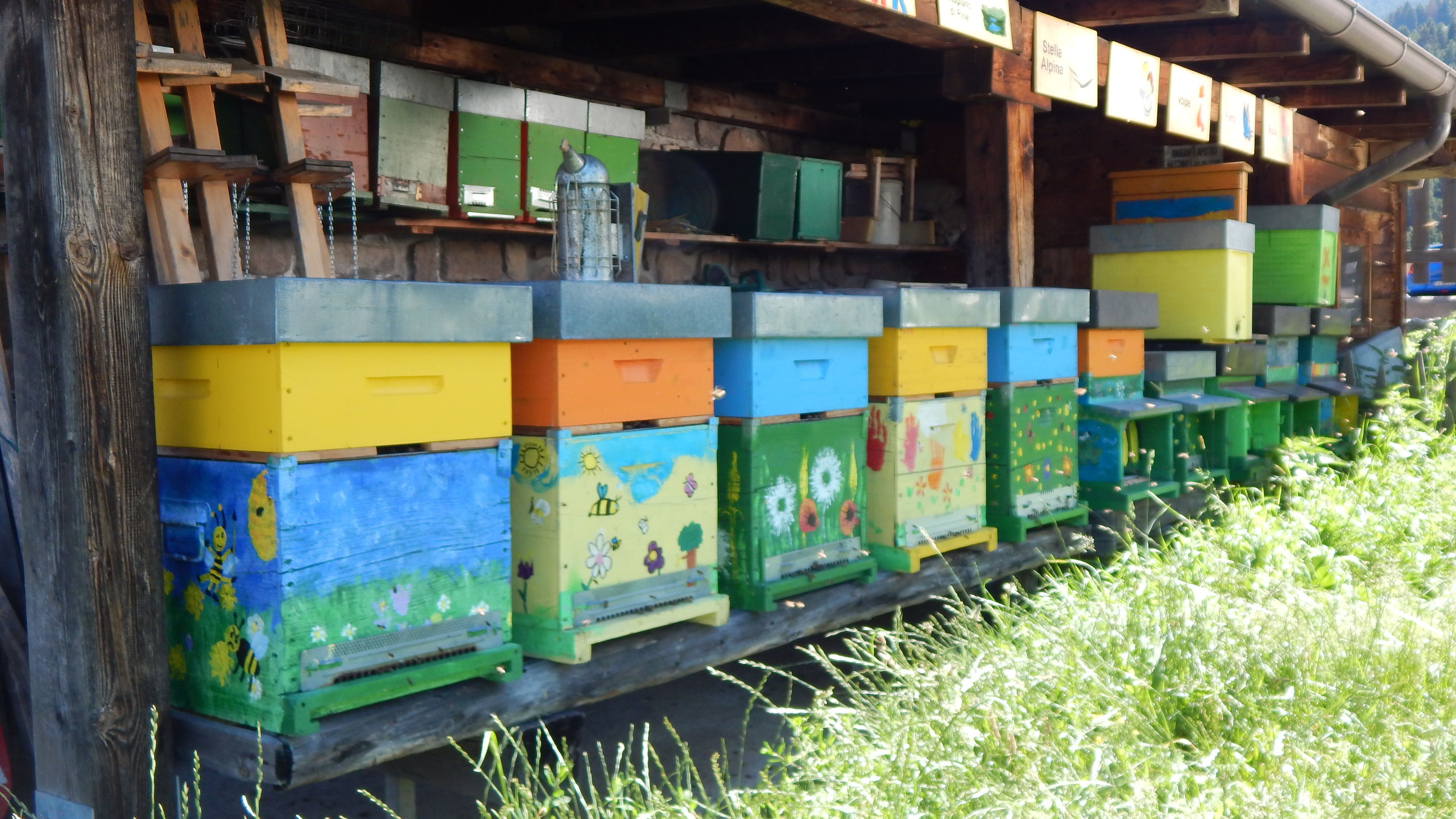 adotta le api di Gocce d’oro Apicoltura e Giardino d’Erbe
