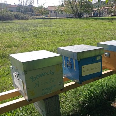 adotta le api di Sito - Rivoli Veronese 