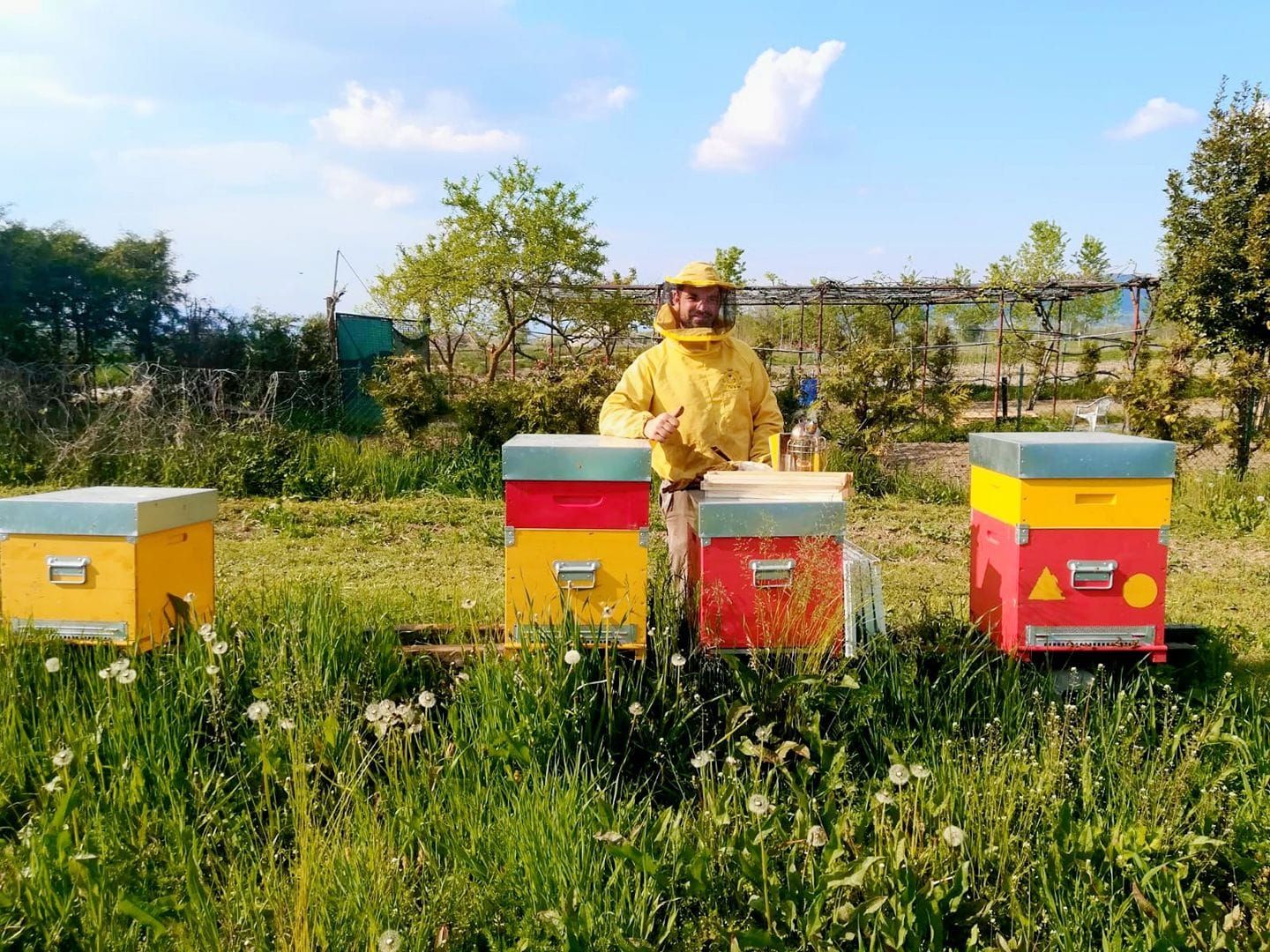 adotta le api di Apicoltura Posella